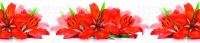 F 22