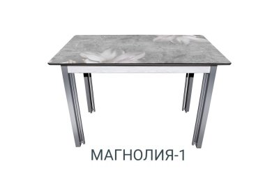 Столешница  "Магнолия-1" 1200х680х22